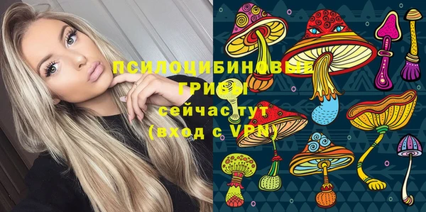PSILOCYBIN Горно-Алтайск