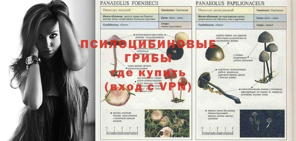 PSILOCYBIN Горно-Алтайск