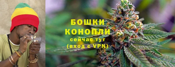 экстази Горняк