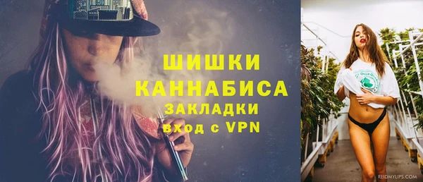 PSILOCYBIN Горно-Алтайск