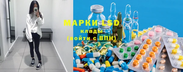 PSILOCYBIN Горно-Алтайск
