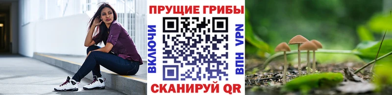 Купить закладки  Куса  Галлюциногенные грибы Cubensis 